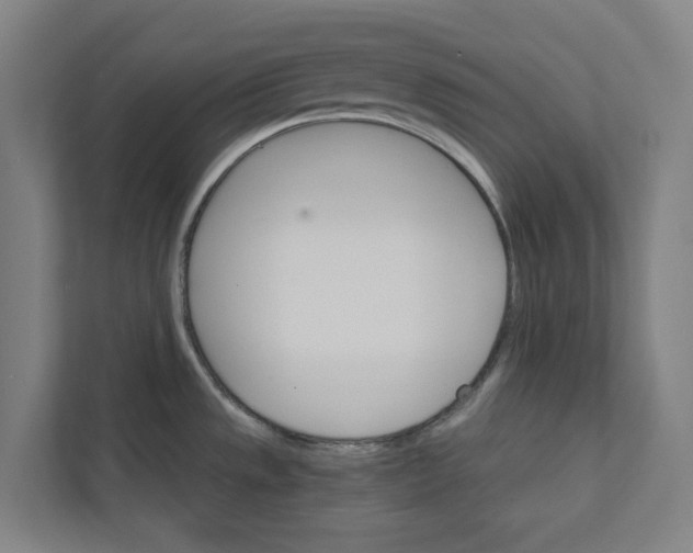 X0000111931533200908171226