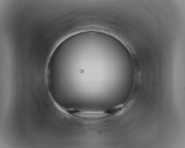 X0000111931535200908171226