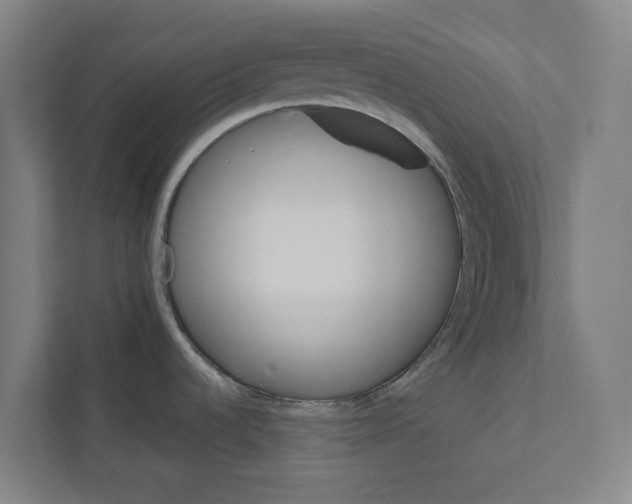 X0000111931536200908171226