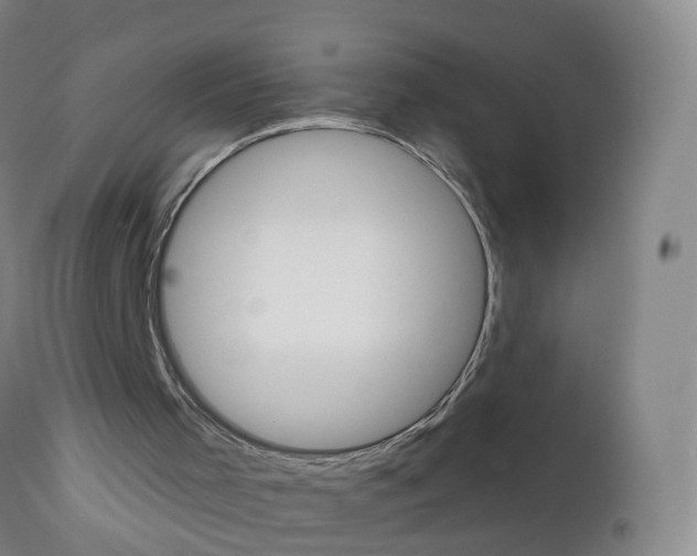 X0000111930001200908241127