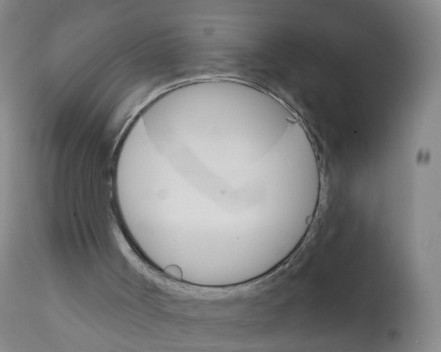 X0000111930002200908241127