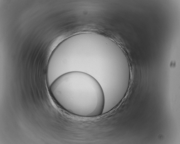 X0000111930003200908241127