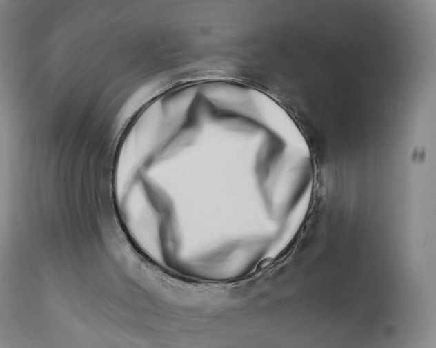 X0000111930004200908241127