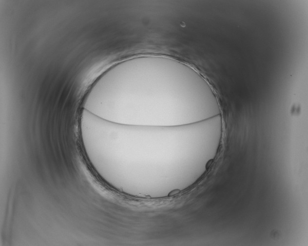 X0000111930005200908241127