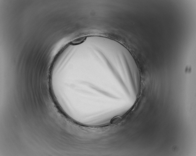 X0000111930006200908241127