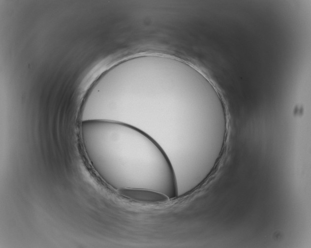 X0000111930007200908241127