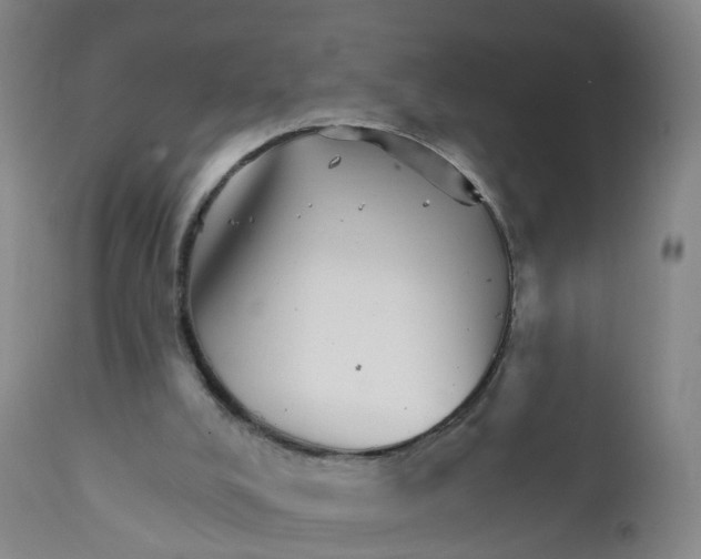 X0000111930008200908241127