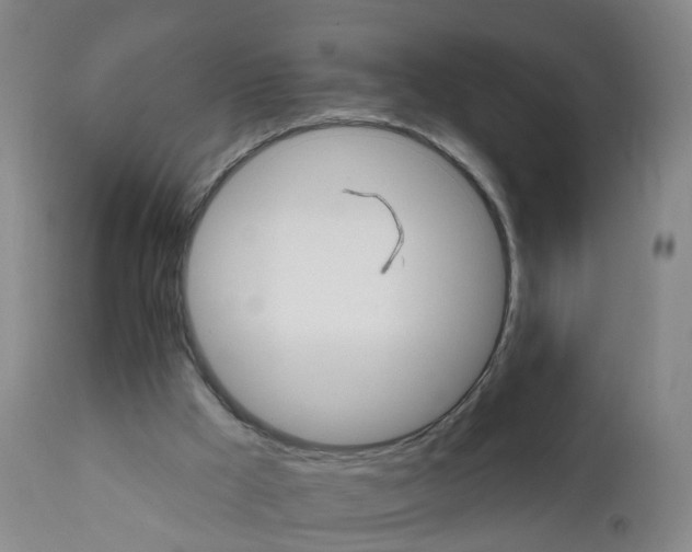 X0000111930009200908241127