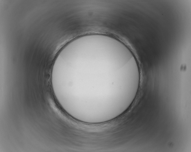 X0000111930010200908241127