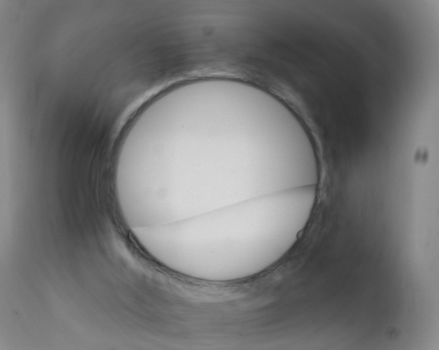 X0000111930012200908241127