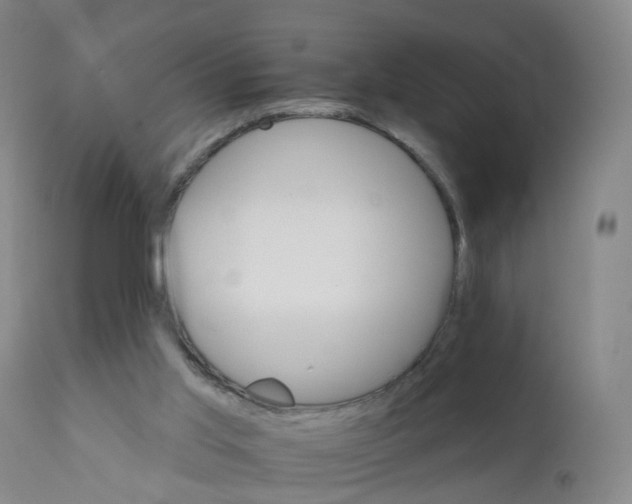 X0000111930013200908241127