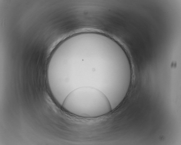 X0000111930015200908241127