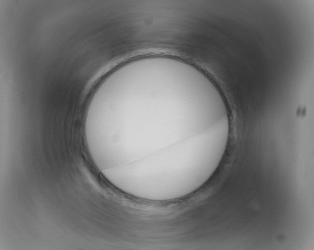 X0000111930016200908241127