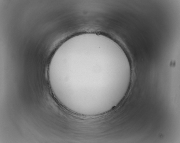 X0000111930019200908241127