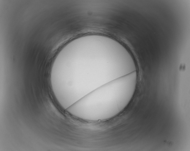 X0000111930020200908241127