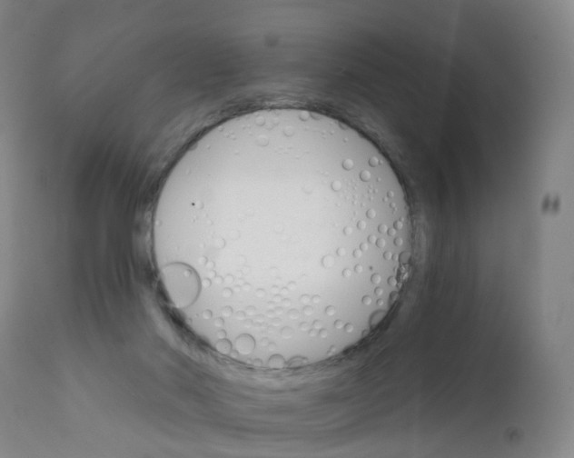 X0000111930022200908241127