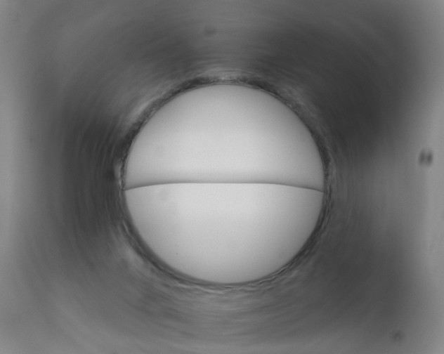 X0000111930024200908241127