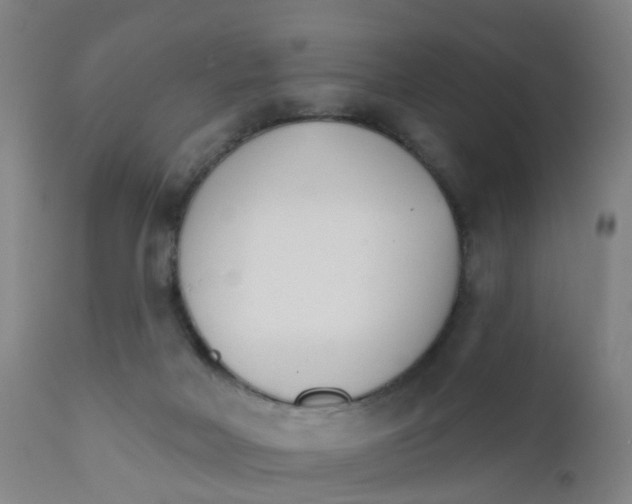 X0000111930026200908241127