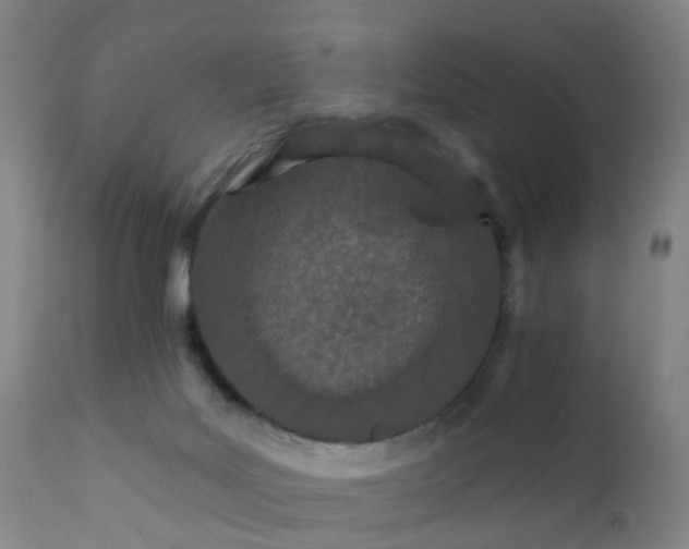 X0000111930027200908241127