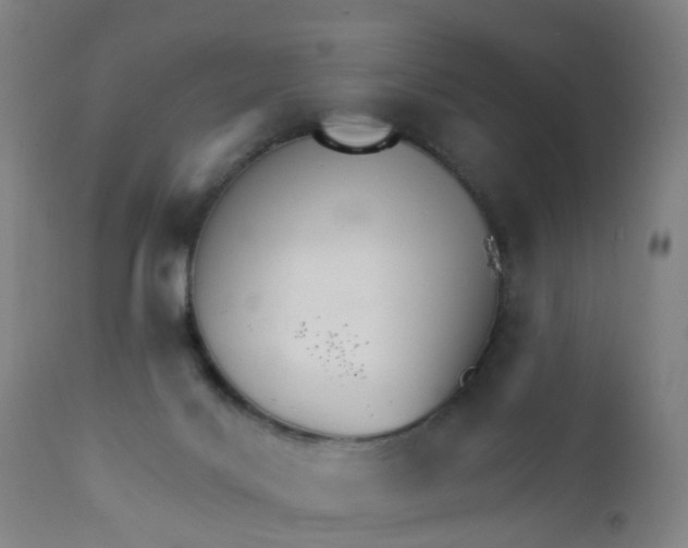 X0000111930028200908241127