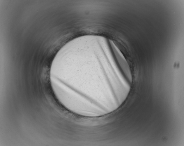 X0000111930029200908241127