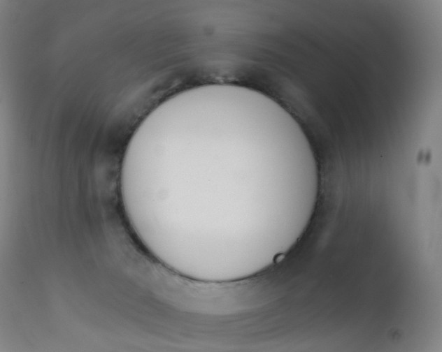 X0000111930030200908241127