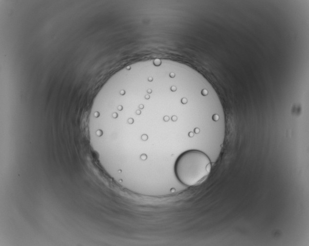 X0000111930034200908241127