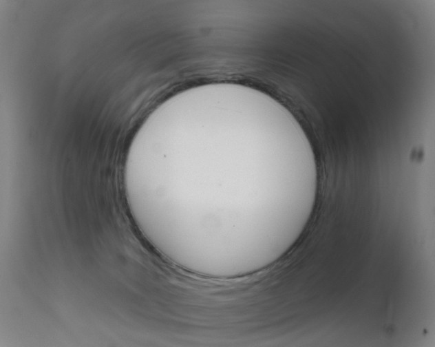 X0000111930035200908241127