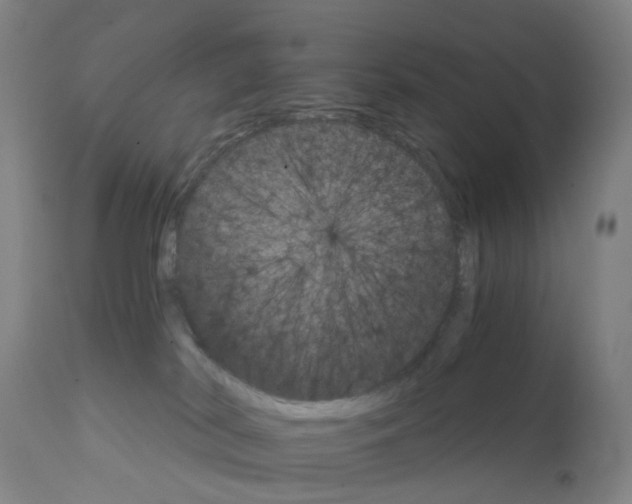 X0000111930038200908241127