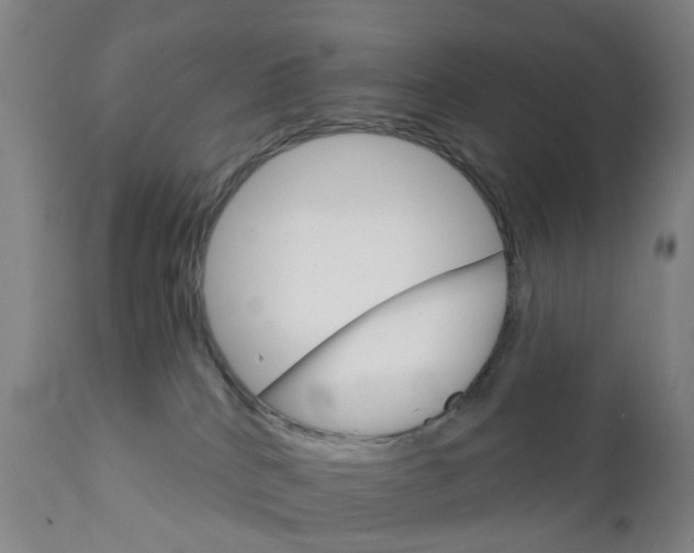 X0000111930040200908241127