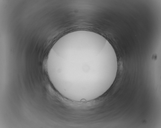 X0000111930042200908241127