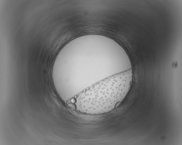 X0000111930044200908241127