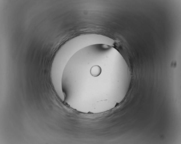 X0000111930045200908241127