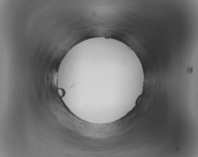 X0000111930046200908241126