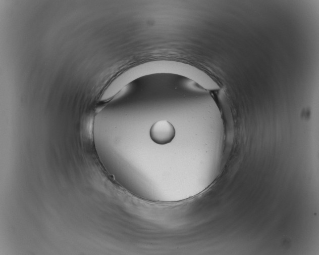 X0000111930047200908241126