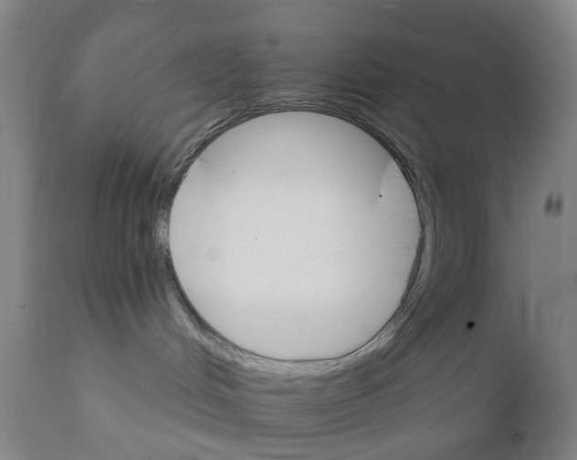 X0000111930048200908241126