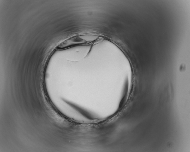 X0000111930049200908241125