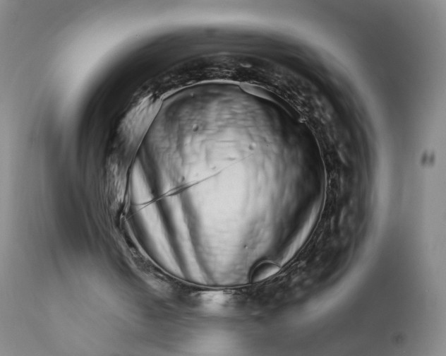 X0000111930050200908241125