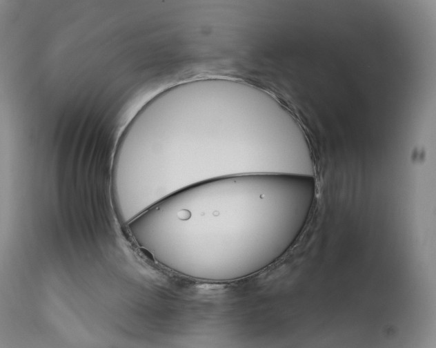 X0000111930052200908241126