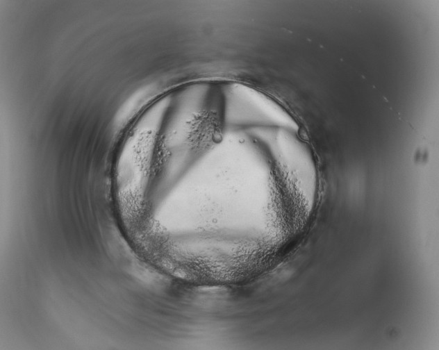 X0000111930053200908241126