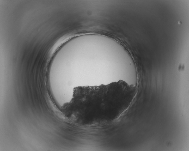 X0000111930054200908241126