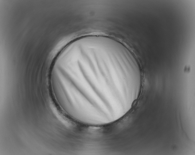 X0000111930055200908241126