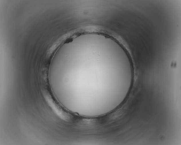 X0000111930057200908241126