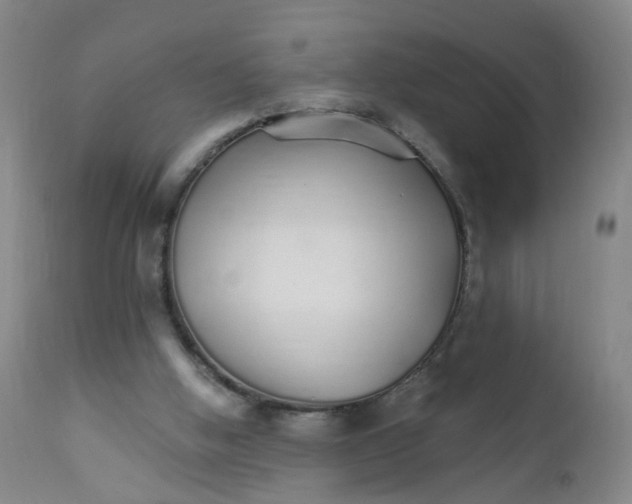 X0000111930058200908241126