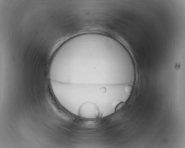 X0000111930059200908241126