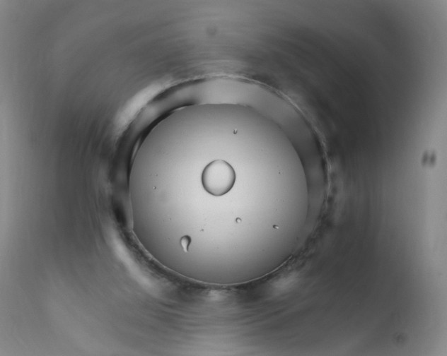 X0000111930060200908241126