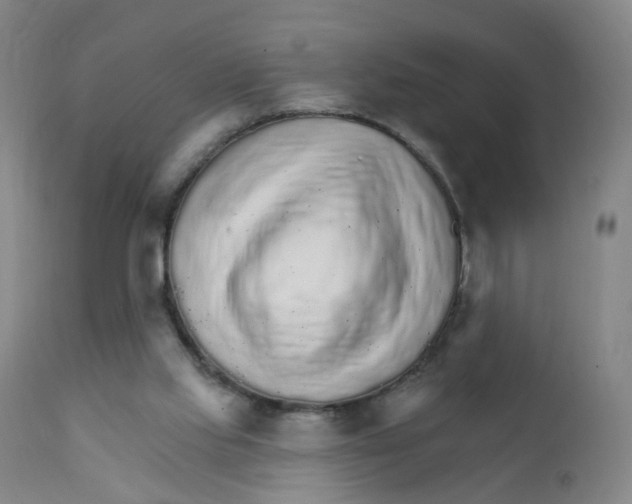 X0000111930061200908241126