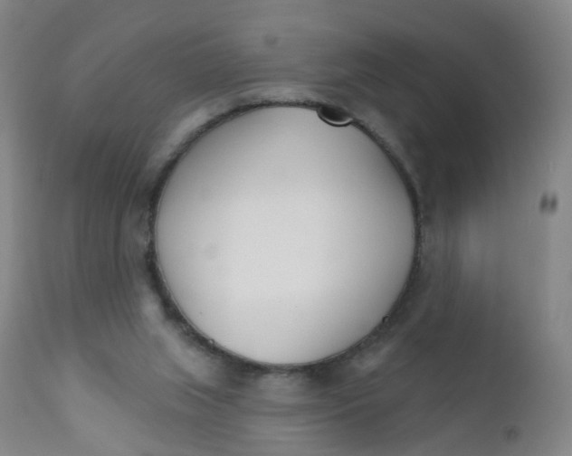 X0000111930063200908241126