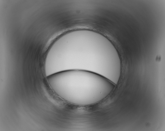 X0000111930064200908241126