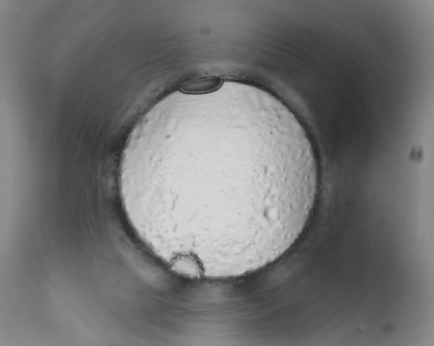 X0000111930065200908241126